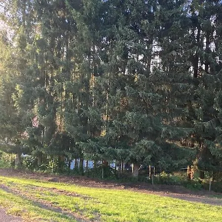 Schwarzwald Escape *