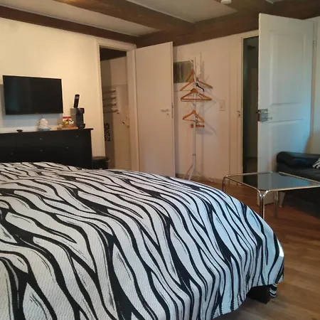 Schwarzwald Escape カントリーハウス Görwihl