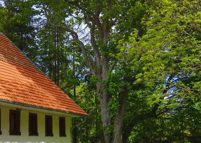 בית כפרי Schwarzwald Escape *