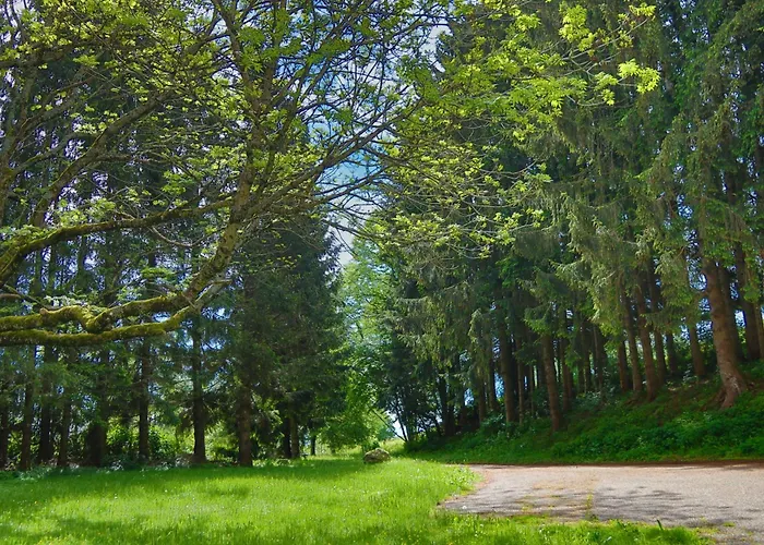 בית כפרי Schwarzwald Escape *