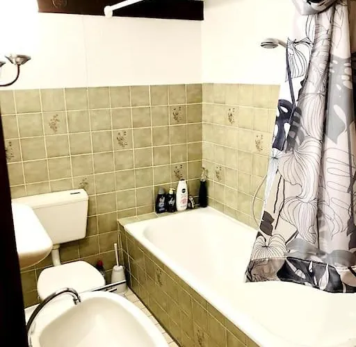 Schwarzwald Escape בית כפרי *