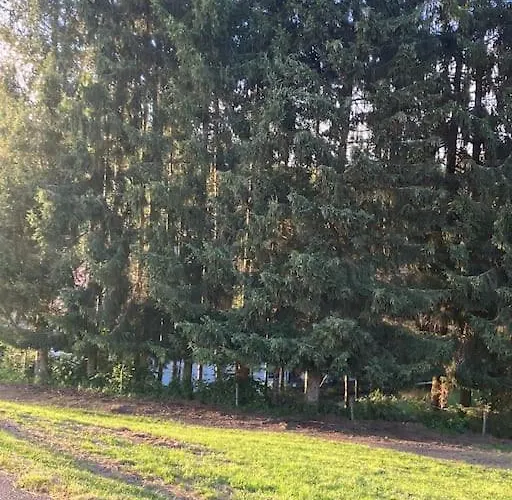 Schwarzwald Escape *