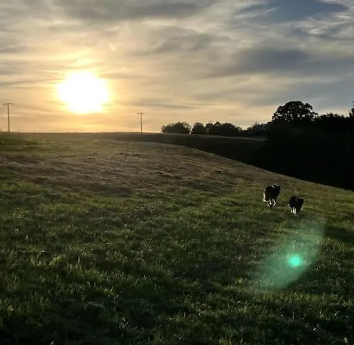 Schwarzwald Escape * Gorwihl